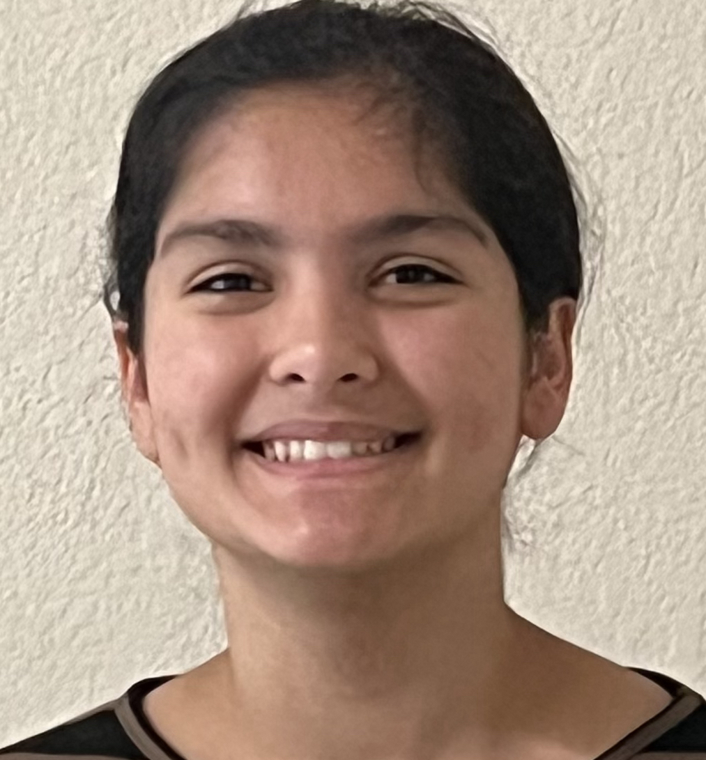 GSRI Intern